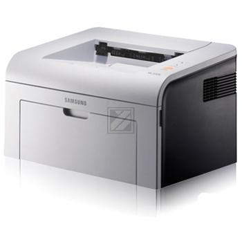 ML 2010 P