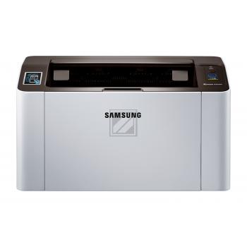 Xpress M 2020 W