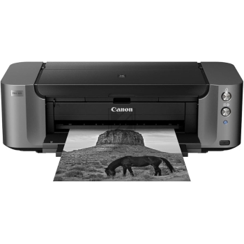 Pixma Pro 10 S