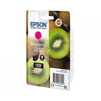 Epson Tintenpatrone magenta SC (C13T02F34010, 202)